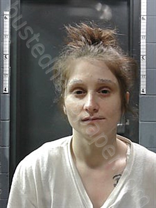 HENSLEY, DESTINY JO #, Johnson County, Arkansas - 2025-03-28 11:31:00