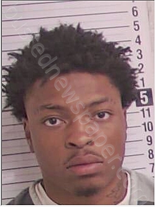 ELSTON, JARMELL, ANTWON #, Bay County, Florida - 2025-03-28 20:47:00