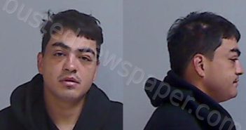 SALINAS, RICARDO | 2025-03-28 Hidalgo County, Texas Booking