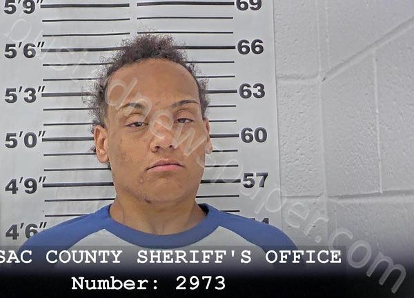 CALMESE, JADE S #, Massac County, Illinois - 2025-03-28 12:34:34