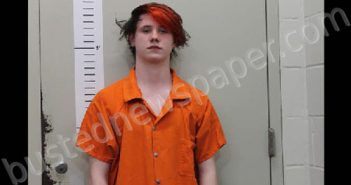 <B>WRIGHT</B>, <B>JAMES</B> NICHOLS #, Chilton County, Alabama - 2025-03-28 12:30:00