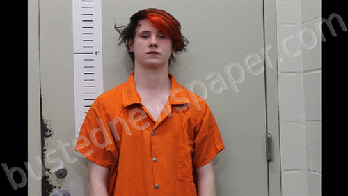 WRIGHT, JAMES NICHOLS #, Chilton County, Alabama - 2025-03-28 12:30:00