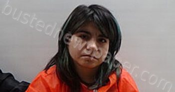 VILLARREAL JESSICA RENEE | 2025-03-28 Cameron County, Texas Booking