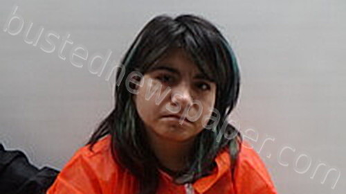 VILLARREAL JESSICA RENEE #, Cameron County, Texas - 2025-03-28