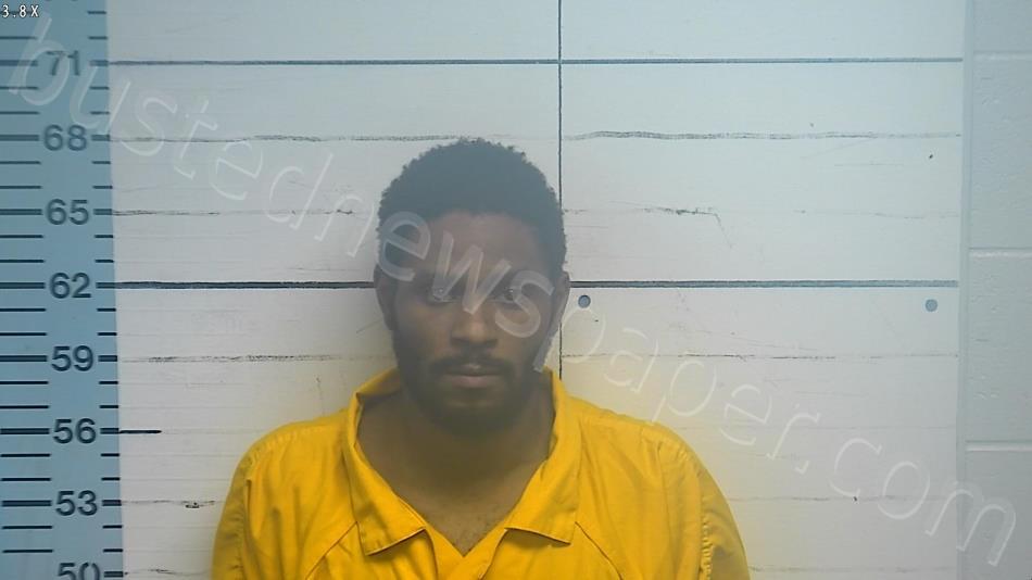 LYNN, ORLANDAS Q, JR #, Desoto County, Mississippi, DeSoto County, Mississippi - 2025-03-28 12:46:00