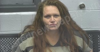 SAMUELS, SHELLY DENISE | 2025-03-29 02:53:00 Meade County, Kentucky Booking