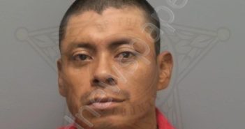 <B>AGUILAR</B> LOPEZ, NOE <B>VICTOR</B> #, Lee County, Florida - 2025-03-29 11:11:00
