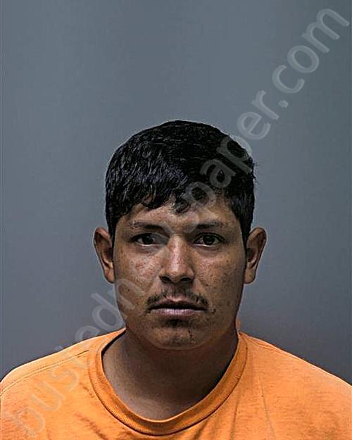 SEGURA-MARTINEZ, CESAR RODRIGO #, Russell County, Alabama - 2025-03-29 10:46:56