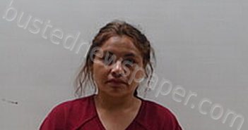 ALVAREZ NINO ALEJANDRA YAZMIN | 2025-03-29 Cameron County, Texas Booking