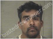 RUIZ, MARCOS | 2025-03-29 Harnett County, North Carolina Booking