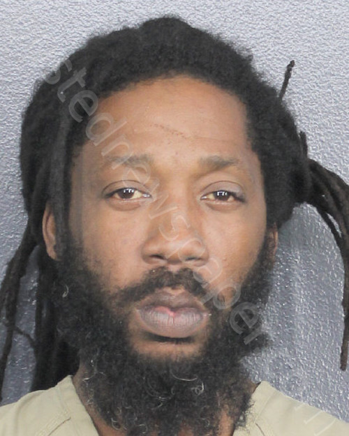 WHITE, DONNELL AARON #, Broward County, Florida - 2025-03-29