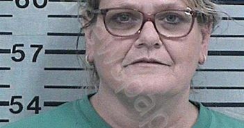 HORNE, APRIL CAROL | 2025-03-30 13:15:01 Hood County, Texas Booking
