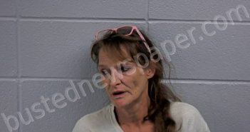 MILLER, CRYSTAL D | 2025-03-30 12:35:00 Cleburne County, Arkansas Booking