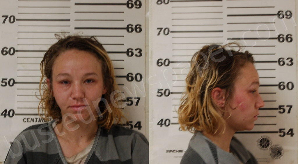 LAGRONE, ALEXIS DANIELLE #, Henderson County, Texas - 2025-03-30