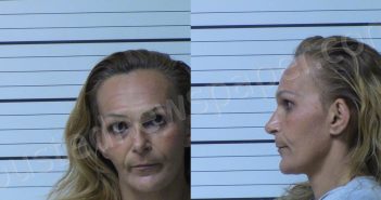 MENCHACA, MELISSA LYNN | 2025-03-31 Kerr County, Texas Booking