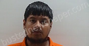 ALEJANDRO ALEXIS | 2025-03-31 Cameron County, Texas Booking