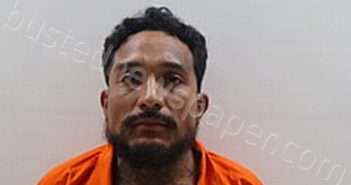 MALDONADO HECTOR LUIS | 2025-03-31 Cameron County, Texas Booking