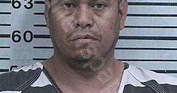 ALVARADO, ALBERTO | 2025-03-31 03:45:43 Hood County, Texas Booking