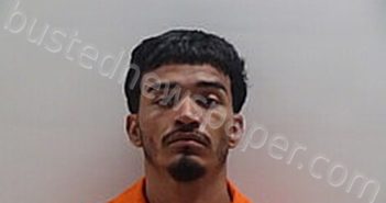 GONZALEZ OSCAR | 2025-03-31 Cameron County, Texas Booking