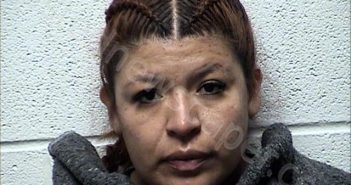 LERMA POLINA, BRISA ANELY | 2025-04-01 Chase County, Kansas Booking