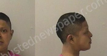 RAMOS, PERLA | 2025-04-01 19:16:00 Kane County, Illinois Booking