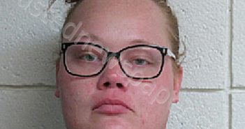 JESSICA DANIELLE HEATH | 2025-04-01 09:18:00 Duplin County, North Carolina Booking