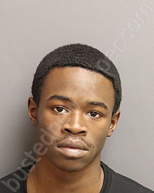 MADDOX, JADELL J #, Oneida County, New York - 2025-04-01 16:35:00
