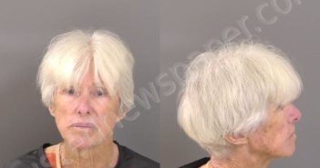 <B>VALLONE</B>, <B>PATRICIA</B> <B>ANNE</B> #, Indian River County, Florida - 2025-04-01 16:56:00