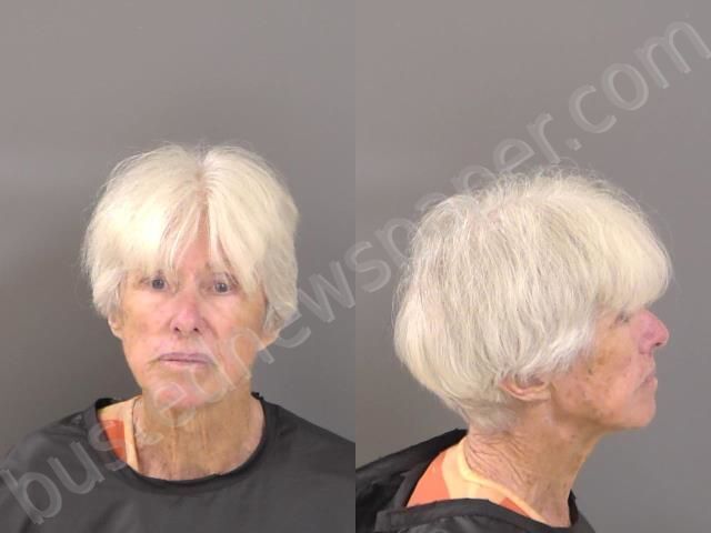 VALLONE, PATRICIA ANNE #, Indian River County, Florida - 2025-04-01 16:56:00