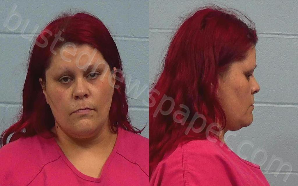 JOHNSON, AMANDA #, Williamson County, Texas - 2025-04-01