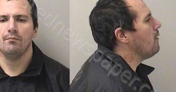 VENEGAS, RICHARD M | 2025-04-01 12:20:00 Kane County, Illinois Booking