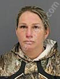 SMITH-LUDWIG, JENNIFER MARIE #, Medina County, Ohio - 2025-04-01