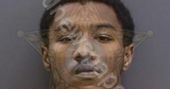 <B>HARDEN</B>,<B>MICHAEL</B> #, Hillsborough County, Florida - 2025-04-02 07:07:00