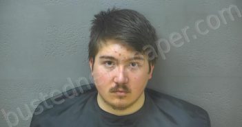 ORNELAS, BRYCEN JOSHUA | 2025-04-02 11:35:00 Lynchburg, Virginia Booking