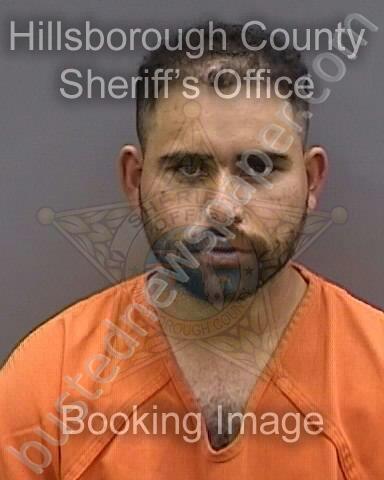 ESTRADA GALVEZ,LESTER #, Hillsborough County, Florida - 2025-04-02 20:09:00