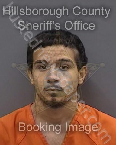 MARTE,JOSE #, Hillsborough County, Florida - 2025-04-02 20:14:00