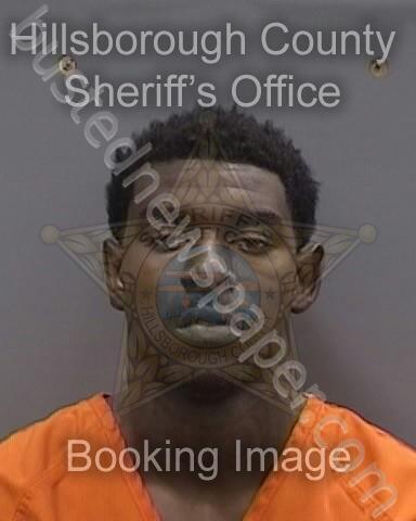 DANNER,NAZERETH #, Hillsborough County, Florida - 2025-04-02 20:24:00