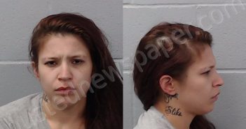 GUERRERO, MARIANNA RICARTE | 2025-04-02 Hays County, Texas Booking