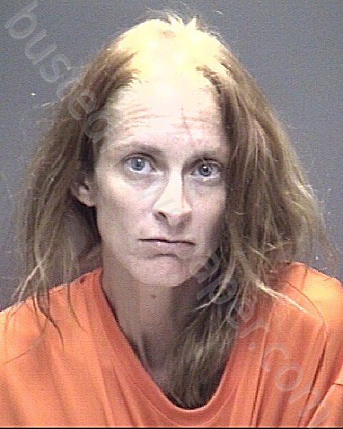CRAWFORD, BRITTANY ANN #, Galveston County, Texas - 2025-04-02 18:32:00