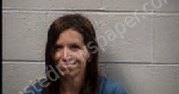WHITAKER, BRANDY NICOLE | 2025-04-03 12:00:00 Transylvania County, North Carolina Booking