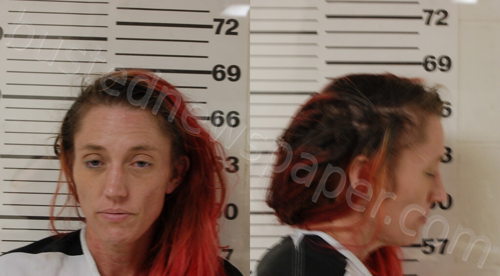 POWELL, VALERIE RENEE #, Henderson County, Texas - 2025-04-03