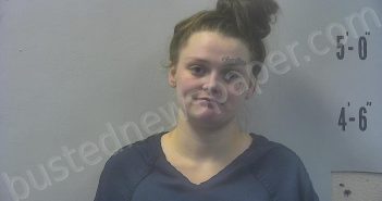 COOPER, NICHOLE KAYLENE | 2025-04-03 19:35:00 Pulaski County, Indiana Booking