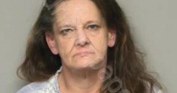 CAROL MARIE SMITH | 2025-04-03 19:30:00 Randolph County, North Carolina Booking