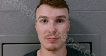 TAYLOR, TAVIAN MICHAEL | 2025-04-03 01:00:00 Taylor County, West Virginia Booking