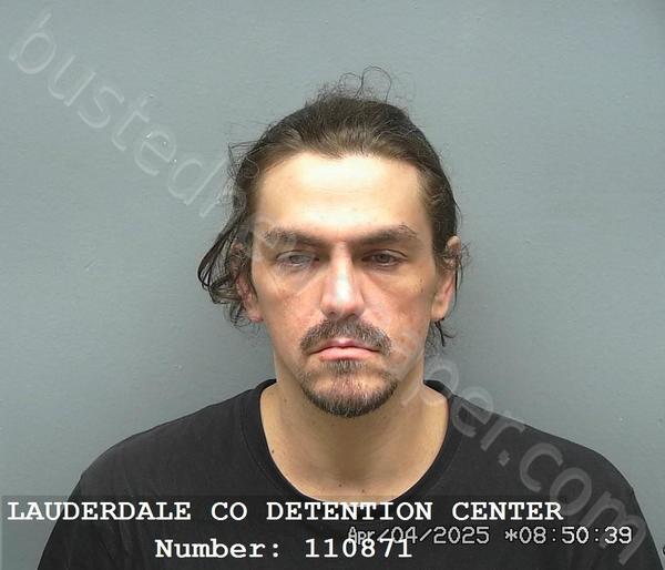 MCKINNEY, MATTHEW BRIAN #, Lauderdale County, Alabama - 2025-04-04 03:12:00