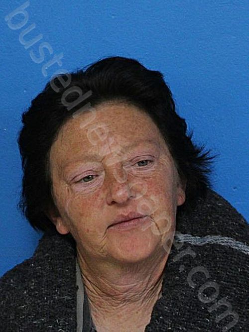GREEN, SANDRA RENEE #, Sullivan County, Tennessee - 2025-04-04 02:04:00
