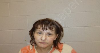 WAKEFIELD, SARA RENEA | 2025-04-04 14:14:00 Brown County, Texas Booking