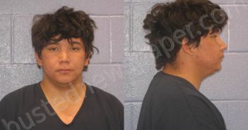PAEZ, ISMAEL JR | 2025-04-04 Andrews County, Texas Booking