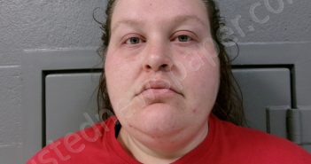 STIRE, BRITTANY NOEL | 2025-04-04 12:40:00 Taylor County, West Virginia Booking