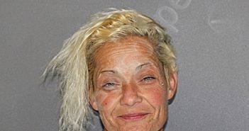 RODRIGUEZ-NATIVIDAD, TINA | 2025-04-04 20:37:23 Ellis County, Texas Booking